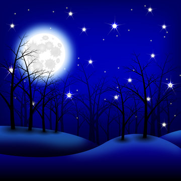 Moon night landscape. Vector illustration