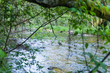 Summer river with reflections