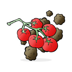 green tomatoes on vine illustration