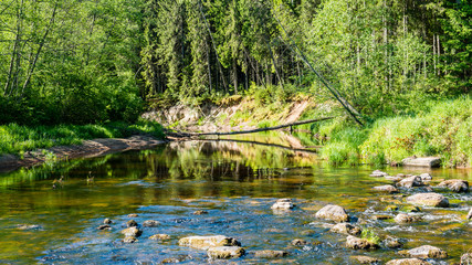 Summer river with reflections