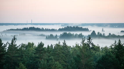 Foggy colorful morning above fields