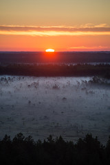 Foggy colorful morning above fields