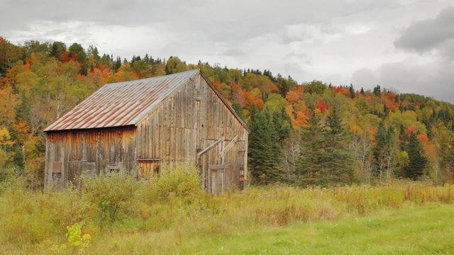Pan of a weathered, old, wooden barn with colorful Autumn foliage on the trees on the hillside behind it.
