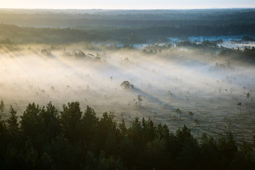 Foggy colorful morning above fields