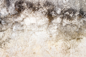 white concrete wall texture