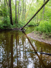 Summer river with reflections