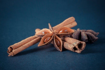 cinnamon sticks with filter effect retro vintage style