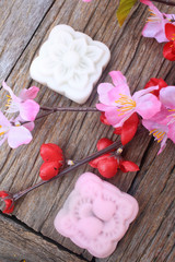 Mochi japanese dessert