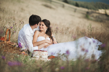 Beautiful wedding couple at picnic with fruit and cake on a background of mountains