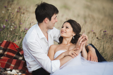 Beautiful wedding couple at picnic with fruit and cake on a background of mountains