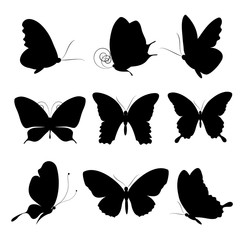 butterflies design