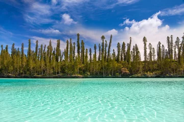 Wandcirkels tuinposter Natural pool of Oro Bay, Isle of Pines, New Caledonia © Delphotostock