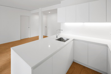 Interior of modern apartment, kitchen