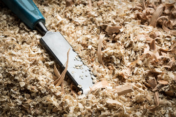 Wood shavings