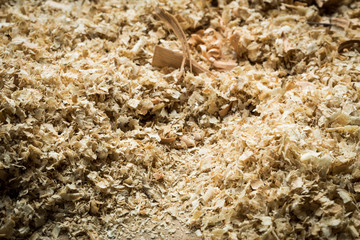Wood shavings