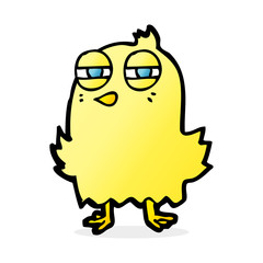 funny cartoon bird