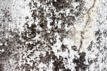 white concrete wall texture