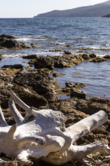 Corse plage
