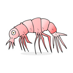 cartoon shrimp