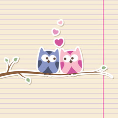 owls in love