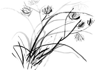 Black and white herb with flowers drawn by hand with ink