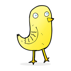 funny cartoon bird
