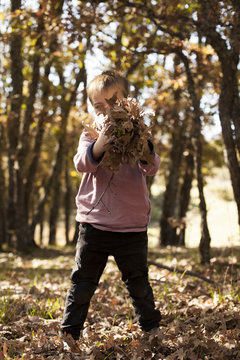 Child collecting leaves in the forest