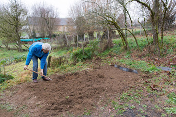 Working in the vegetable garden