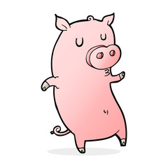 funny cartoon pig