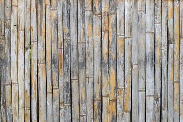Dry Bamboo Sticks wall for background
