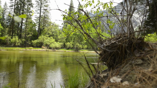 Yosemite LM62 Merced River Cathedral Beach Circular Dolly In L