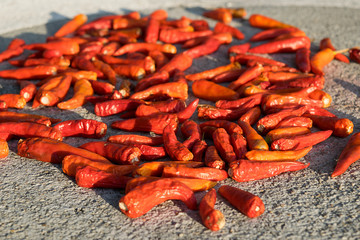 Dried red chili