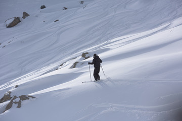 Naklejka na ściany i meble freeride skier skiing in deep powder snow