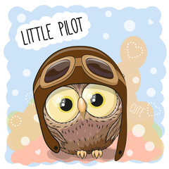 Little Owl Pilot
