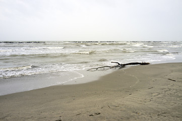 Winter beach panorama. Color image