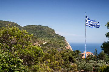 Greek flag amongst the trees