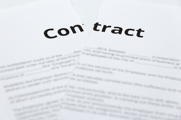Close up of ripped up contract