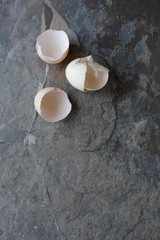 background with eggs shells