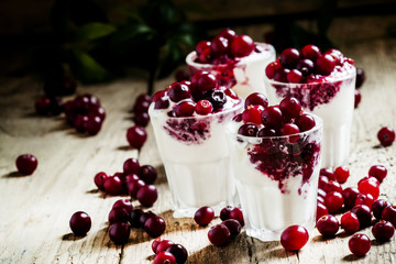 Sweet dessert of vanilla ice cream with cranberry sauce and berr