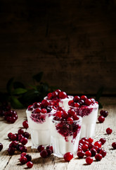 Sweet dessert of vanilla ice cream with cranberry sauce and berr
