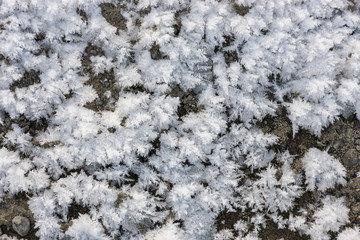 crystals of snow on the ground
