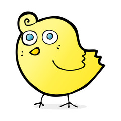 funny cartoon bird