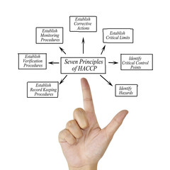 Woman hand pointing element of HACCP principle on white background for use in manufacturing.