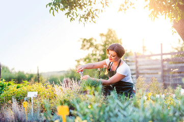 Young gardener cutting little flower plant, green sunny nature