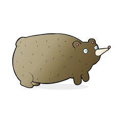 funny cartoon bear
