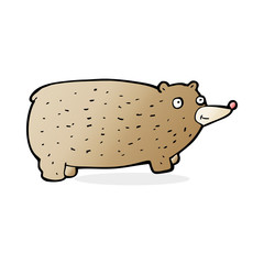 funny cartoon bear