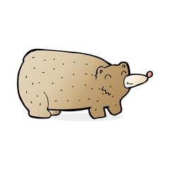funny cartoon bear