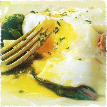 A runny fried egg, broken open with a fork on a bed of Swiss chard greens