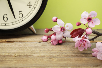 Spring Time Change / Pink Blossoms and an Alarm Clock on an Old Wooden Table