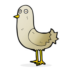 cartoon bird